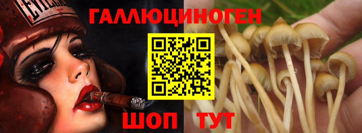 Ипатово  Галлюциногенные грибы прущие грибы  Псилоцибиновые грибы Magic Shrooms  что такое   Вход с VPN 